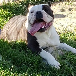 Meet your Posher, June